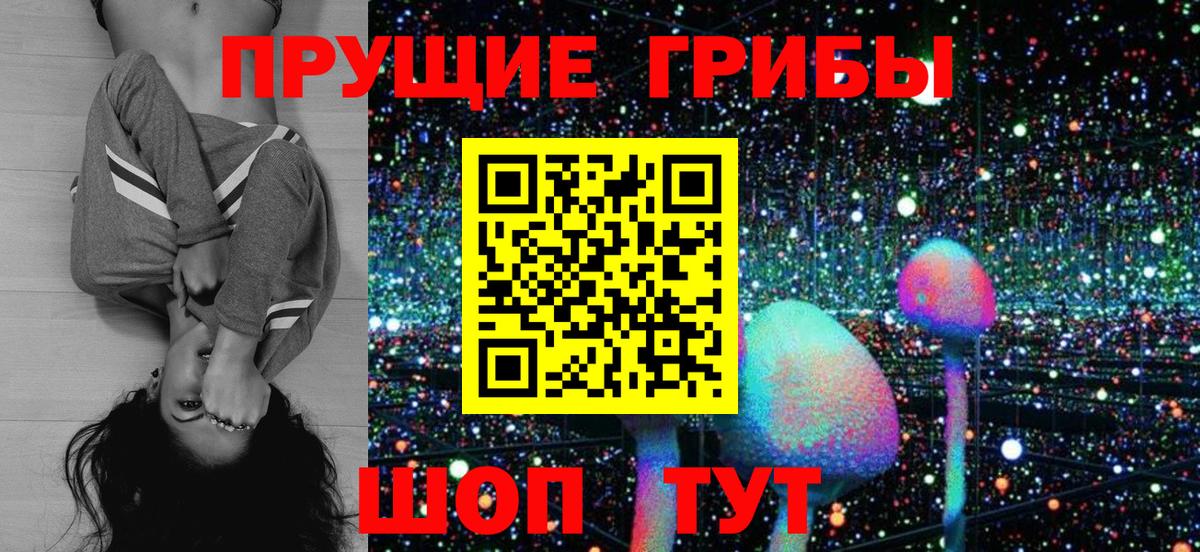 Галлюциногенные грибы Psilocybe Когалым